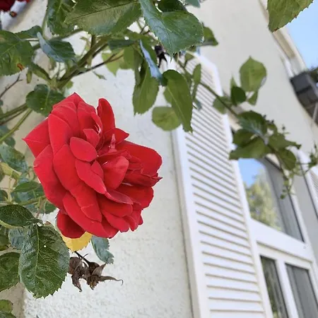 Insel Hus Tatil Evi Fehmarn